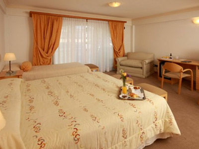 Hotel Ayres Del Nahuel